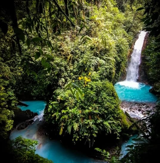 Lush green landscapes that stay vibrant all year round thanks to Costa Rica's tropical climate