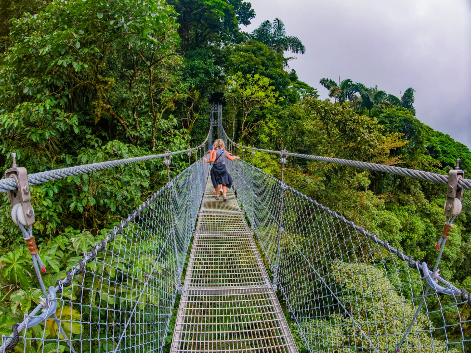 One of the suspension bridges high in the Arenal rainforest canopy.