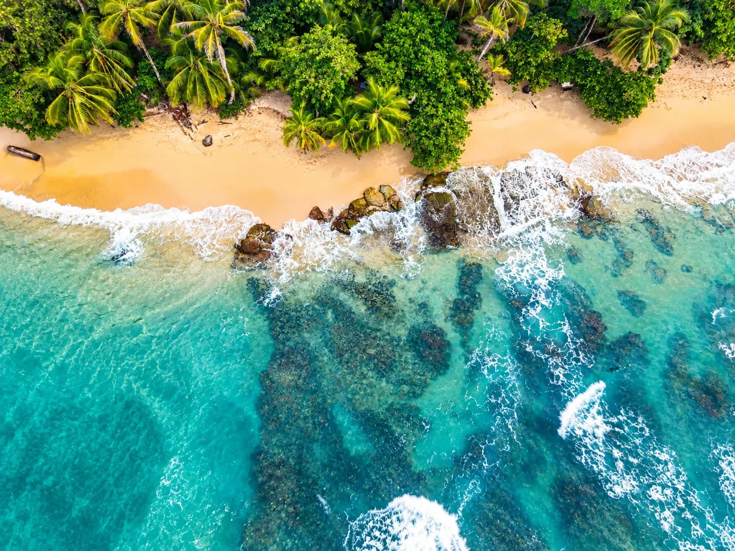 The reef sits just off the beach at Punta Uva and inside Cahuita National Park. September and October are the months the water is clear enough to actually see it.