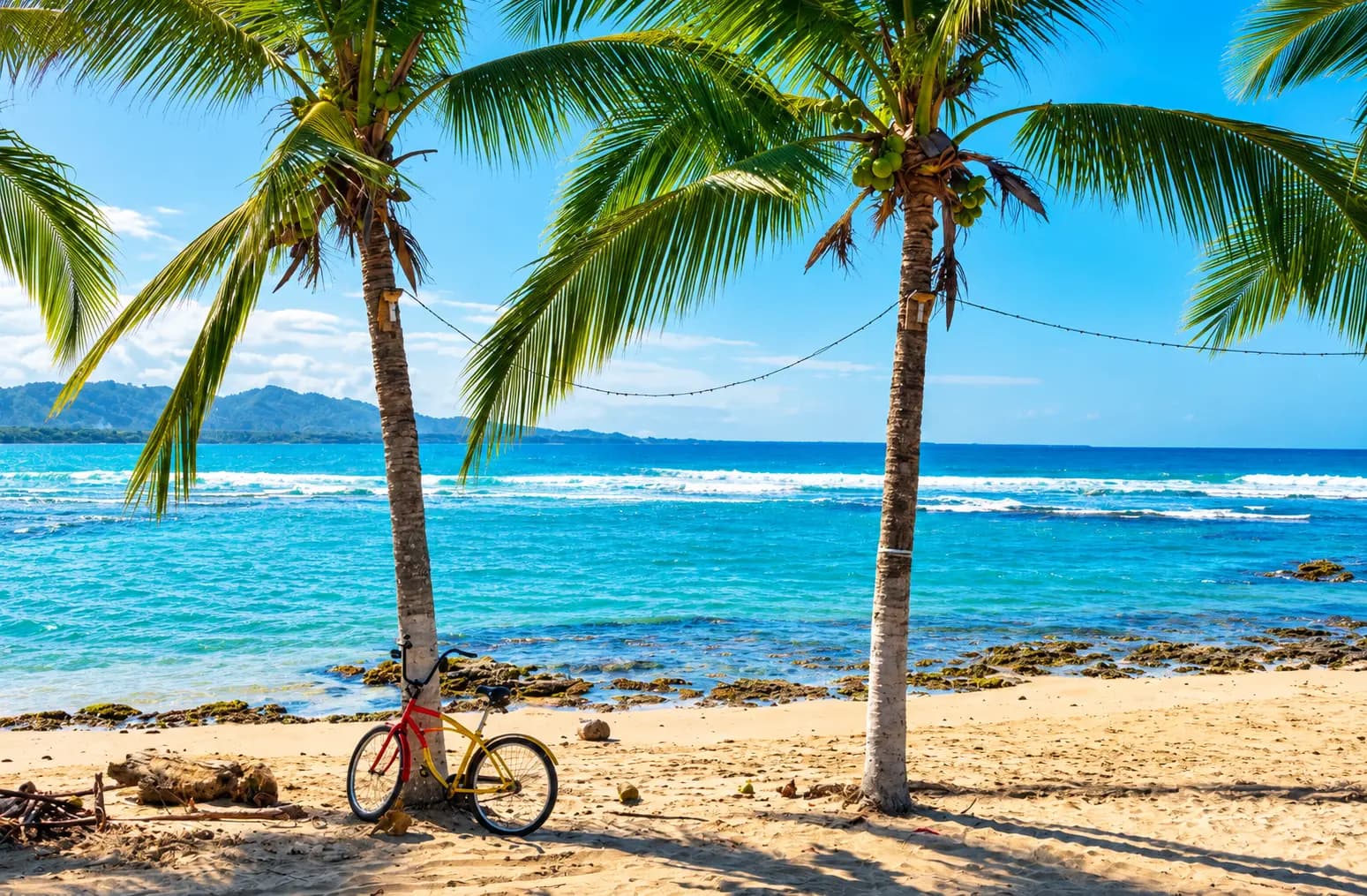 A rented beach cruiser is the local car. The coastal road from Puerto Viejo to Manzanillo is flat, paved and 13 km long, with a beach every couple of kilometers.