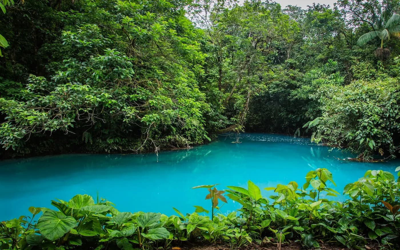 The Discovery Route: A Private Shuttle From La Fortuna to Guanacaste, the Way It Should Be Done