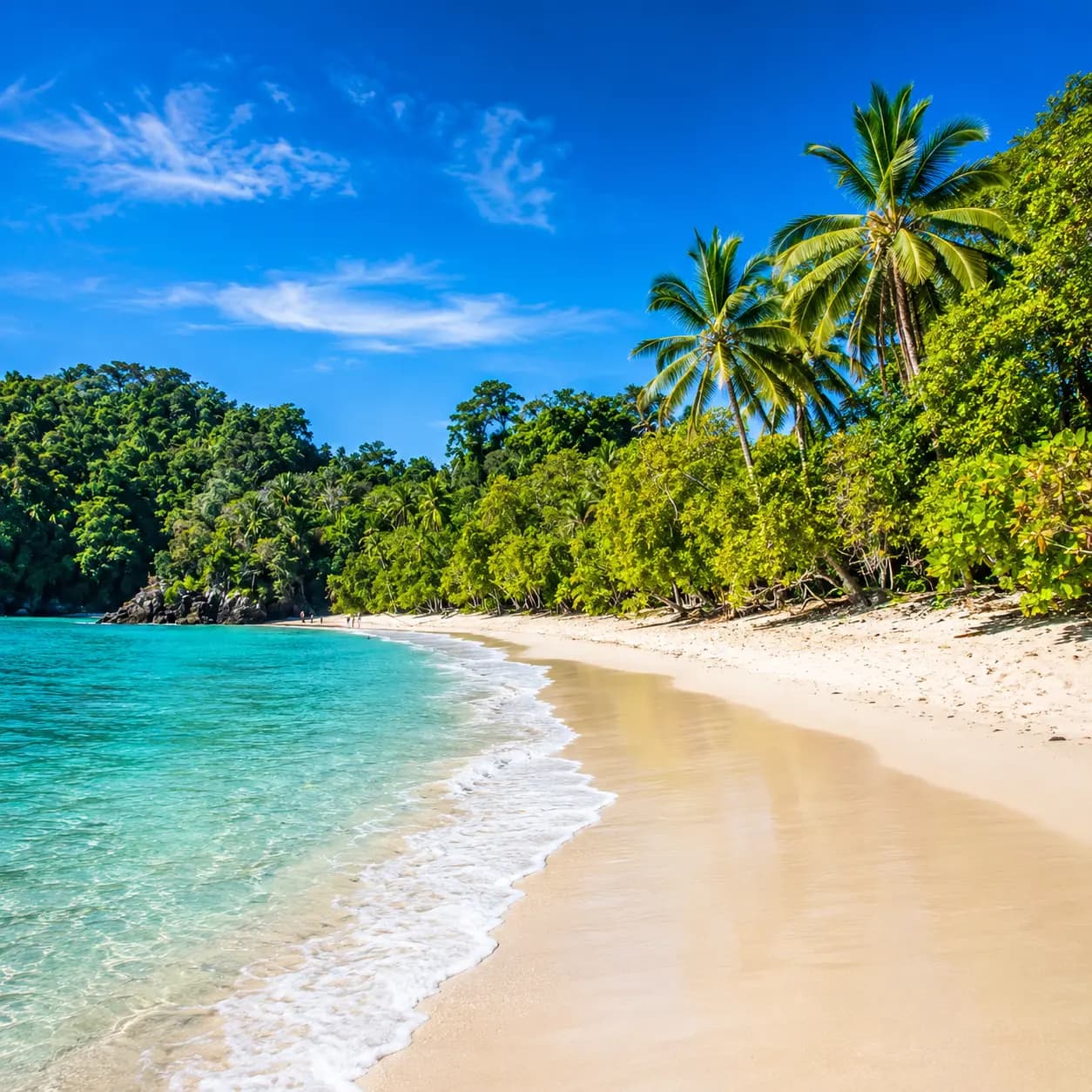 Playa Tamarindo: a long, gold crescent of sand that stays warm and swimmable all year.