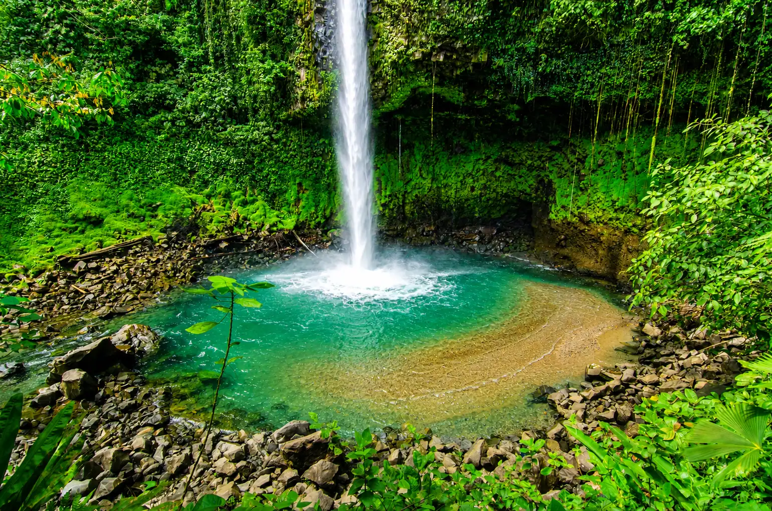 The 70-meter La Fortuna Waterfall pouring into its jungle pool.